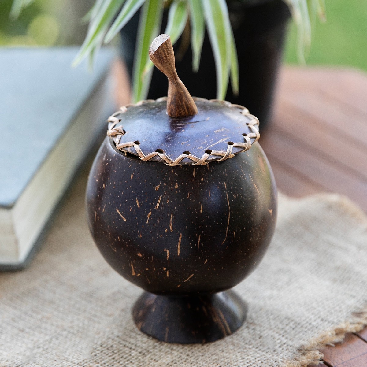 Coconut Shell Decorative Box Hand Carved in Bali - Berry Keeper